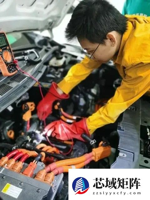 新能源汽车买得起修不起困局透视