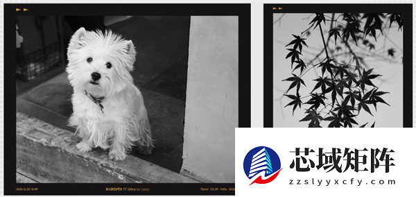 联名徕卡三年后 小米造了一台“不像小米”的手机