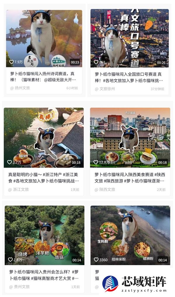 “萝卜纸巾猫”爆火 多地文旅加入