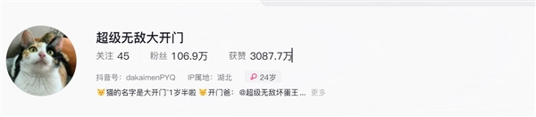 “萝卜纸巾猫”爆火 多地文旅加入