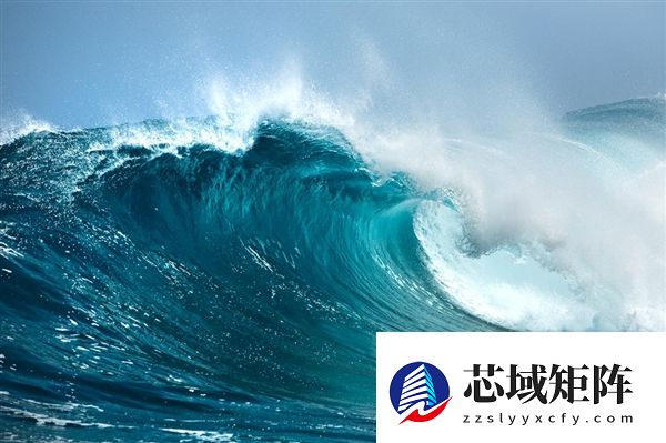 日本一无人岛密密麻麻都是北海狮：给当地渔业造成巨大损失