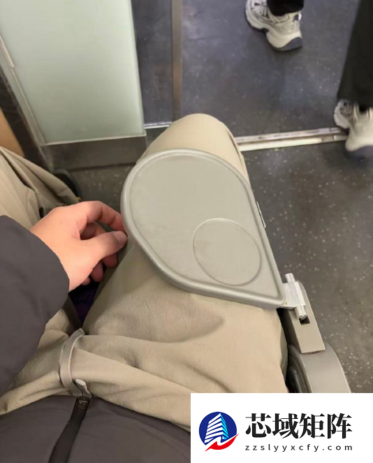 网友吐槽高铁“巴掌大小”桌板 12306回应