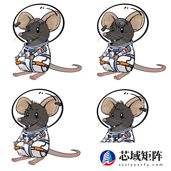 首次太空出征！我国四只“飞天小鼠”名字揭晓 还有专属卡通形象