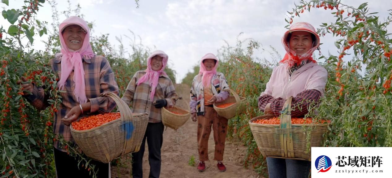 践行ESG理念，容声冰箱“寻鲜之旅”助农活动入选社会责任实践成果