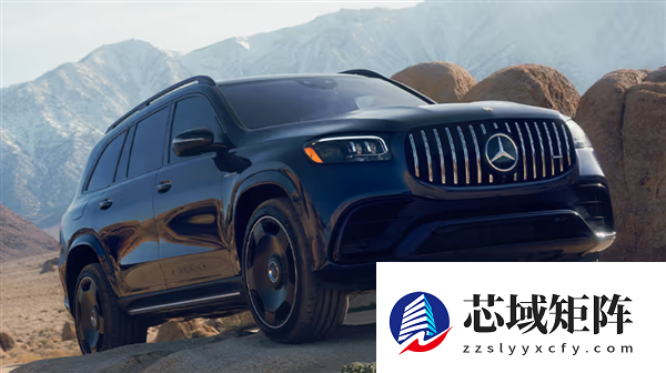 120万买的奔驰GLS刹车失灵 车主：差点冲下悬崖 真不敢开了