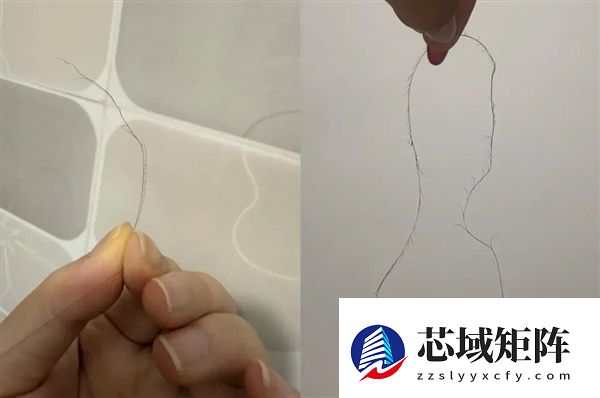 头发开叉其实是种病，很多人忽视了！3步就能改善