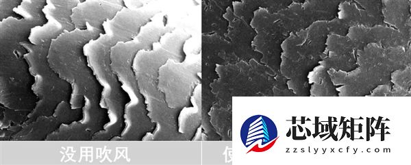 头发开叉其实是种病，很多人忽视了！3步就能改善