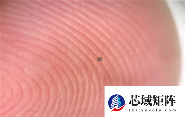 科学家造出全球最小自主机器人!比一粒盐还小 成本仅需一美分