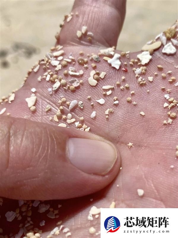 冲绳海滩上成千上万的小“星星” 是生物5亿年堆积起来的