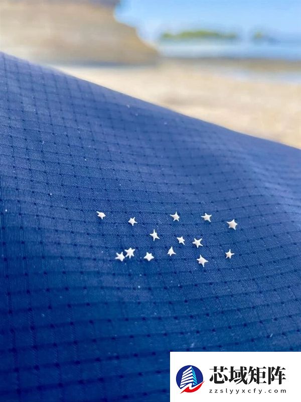 冲绳海滩上成千上万的小“星星” 是生物5亿年堆积起来的