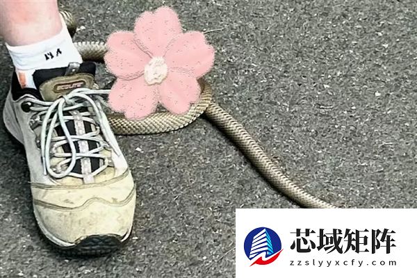 澳洲女子户外寻宝偶遇剧毒蛇 人很淡定蛇却慌了