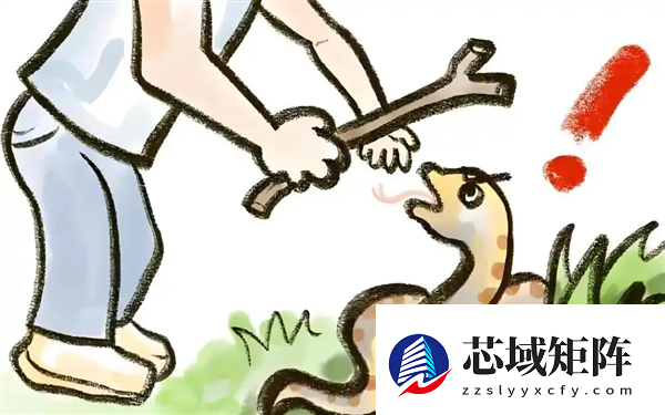 澳洲女子户外寻宝偶遇剧毒蛇 人很淡定蛇却慌了