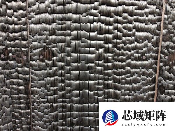 达芬奇手稿新发现：领先日本100多年发现“烧杉板”工艺