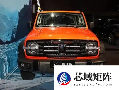 坦克300极地版上市，助力中国南极科考