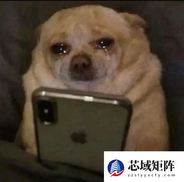 英伟达史上最大的一次收购 也可能是最招骂的一次