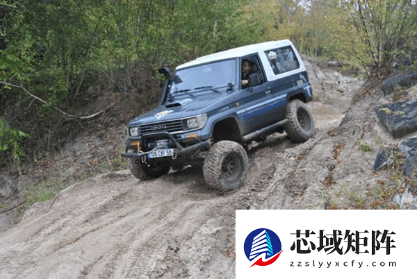 懂车帝的交叉轴测试 炸出没良心车企了?