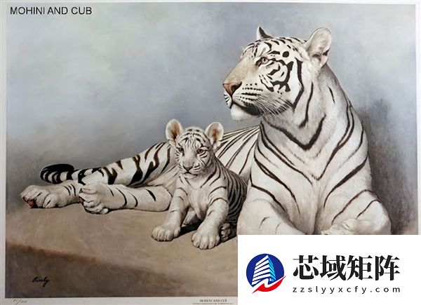 为啥动物园里的白虎大多是孟加拉虎？所有白虎真都是同一只老虎的后代吗？