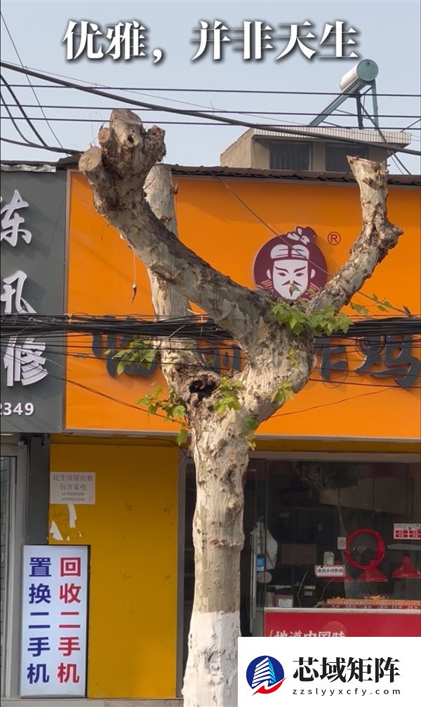 安徽马鞍山和县街头惊现瑜伽树：舞蹈生身姿都没这么妙曼