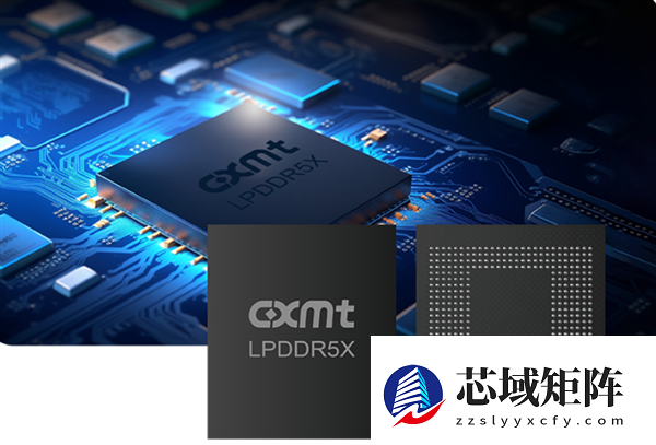 2025年度评奖：内存篇