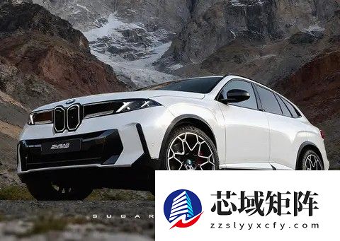 宝马全新X5渲染图曝光：2026年亮相，造型革新引热议