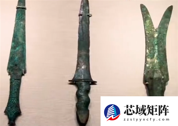 展品过于接地气！网友玩梗称深圳博物馆“不怕被盗”