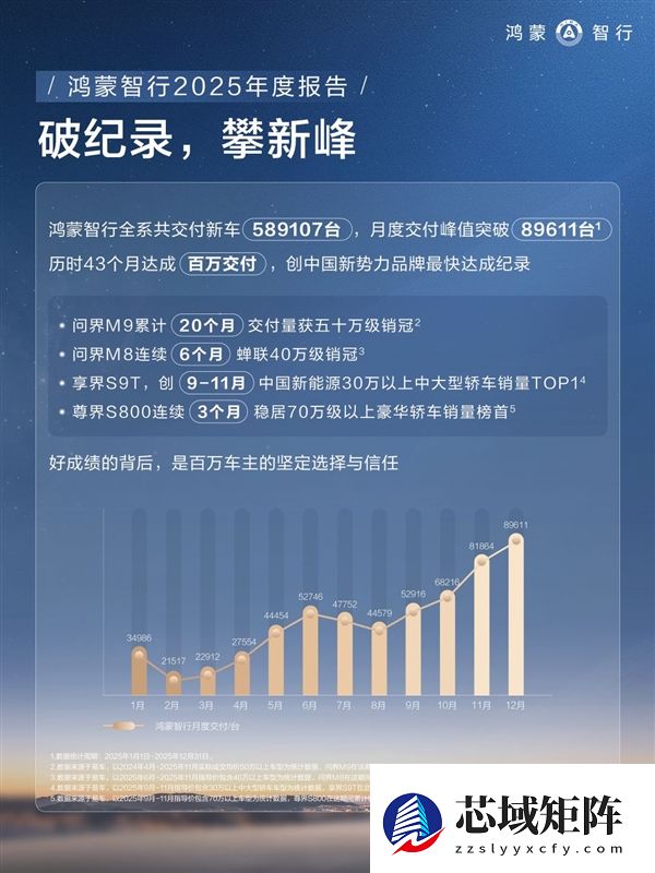 鸿蒙智行2025年交付58.9万辆 问界M9连续20个月第一