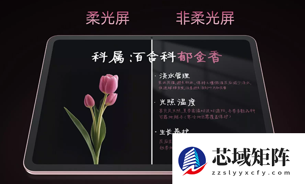 国补价1709.1元起!OPPO Pad Air5首销:支持插SIM卡