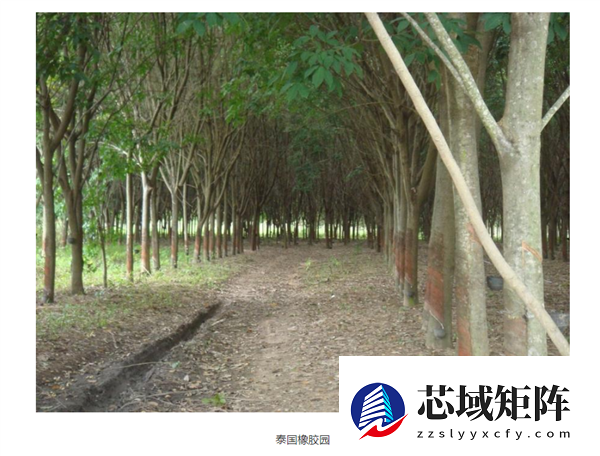 当AI学会看山看海：坤元大模型如何重新定义地球观测