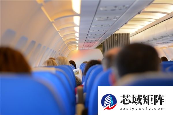 空姐统一戴长发簪遭质疑不安全 海南航空回应
