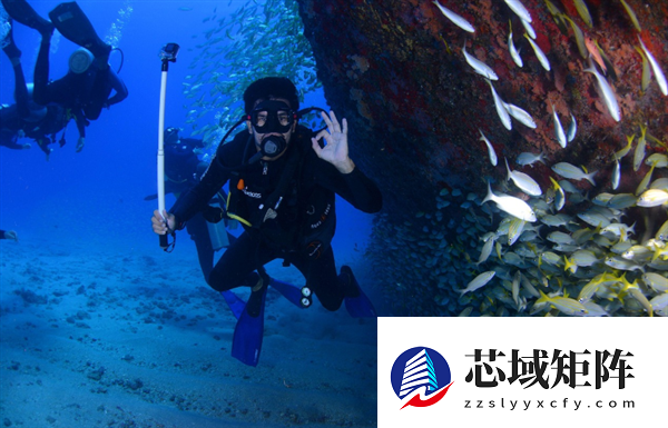 网民投诉反相关海域存在非法潜水活动 当地通报核查情况