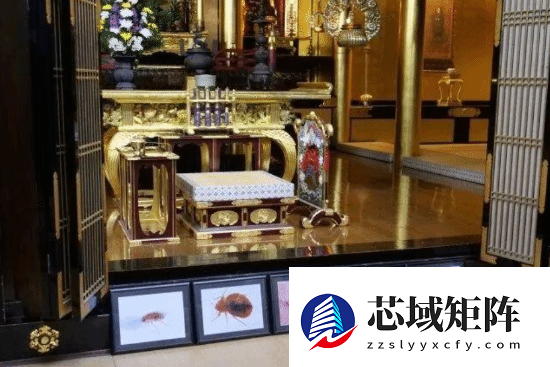 日本杀虫剂公司给蟑螂蚊子办追悼会：坚持了40多年 属于员工追悼会