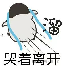 豆包一声声“OK”一句“ZEALER”：罗永浩破大防了！