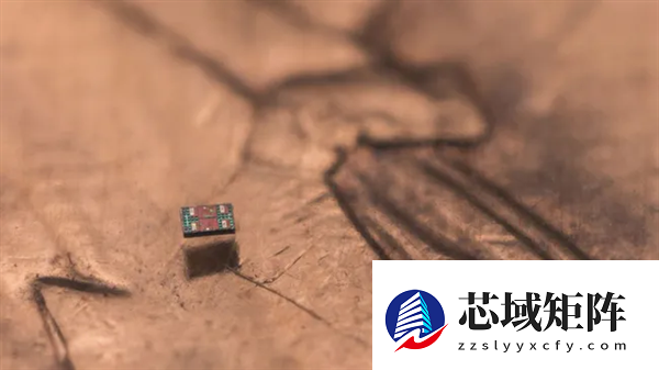 科学家造出全球最小自主机器人！比一粒盐还小 成本仅需一美分