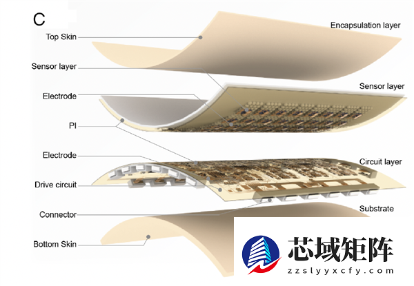 温柔点儿 机器人也怕疼了！电子皮肤主动痛觉+损伤自检双buff拉满