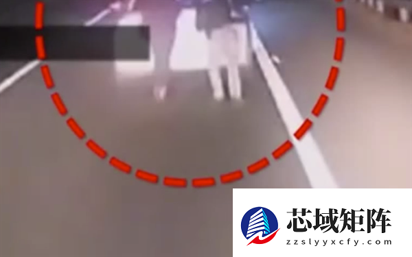 网约车跑高速没电抛锚司机邀乘客推车 网友怒斥拿人命当儿戏！