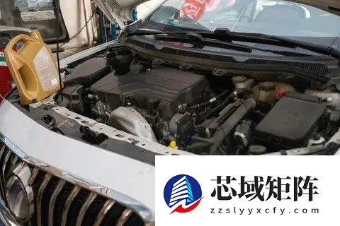 亲手换机油三年：从菜鸟到安心的自驾守护者