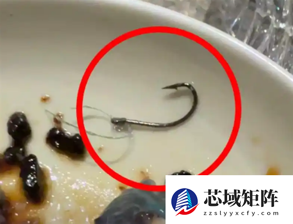 顾客在米其林餐厅吃出鱼钩 消费六千多全免单餐厅致歉