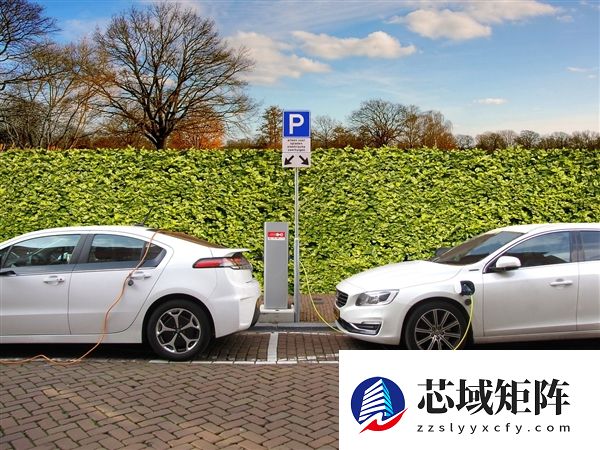 报告：混动才是最可靠汽车 电车故障率比燃油车高80%！