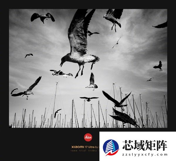 不是简单滤镜！小米揭秘徕卡一瞬如何实现：端侧模型+胶片建模