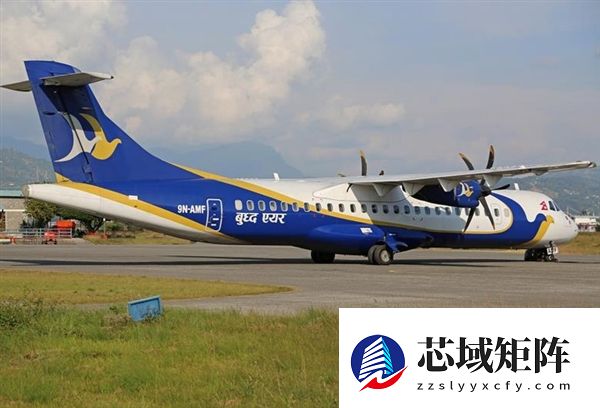 尼泊尔一架运载55人的客机冲出跑道 飞机严重受损 多人受伤