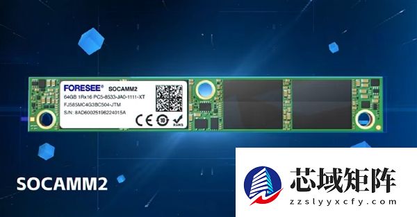 2025年度评奖：内存篇