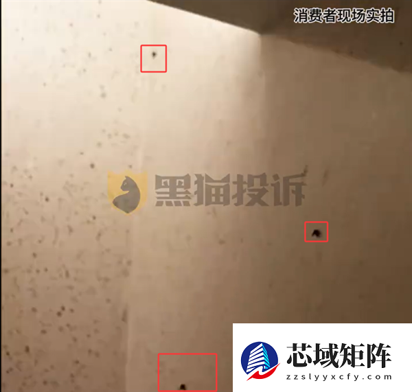 喜来登豪华套房惊现30多只活飞虫 万豪回应：无法约束旗下酒店