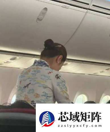 海航空姐统一戴长发簪遭质疑不安全 网购平台同款发簪长度为18cm