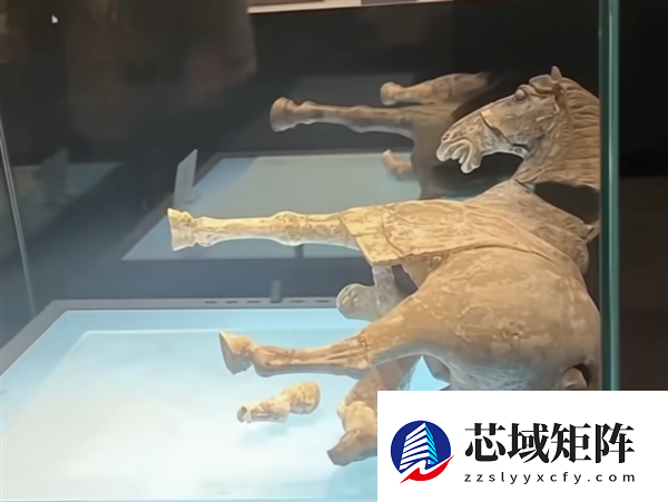 洛阳博物馆回应唐代陶马倒下断裂：原始修复部位粘接剂老化 已送修
