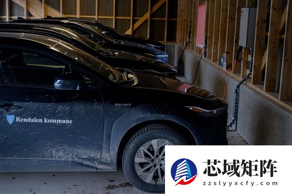 全球新能源渗透率第一！挪威2025年96%新车为电动汽车