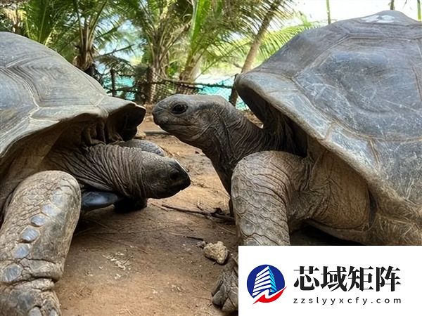 1962年 一位英国男子辞掉工作后花8000英镑买了个岛