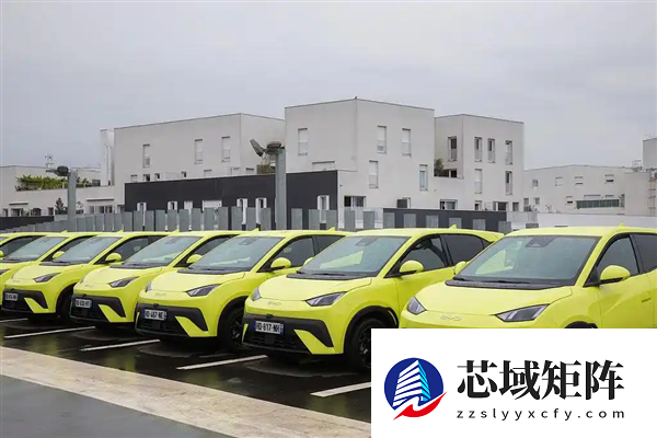 比亚迪首夺全球纯电销冠 特斯拉究竟输在哪了