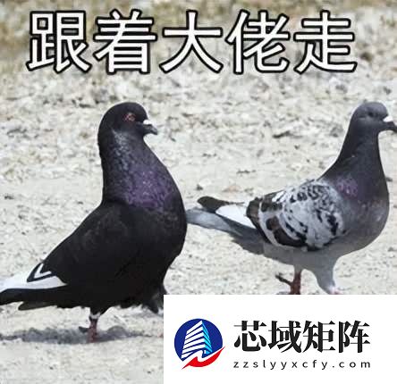 刚开年 马斯克就到账了200亿美金