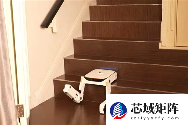 追觅爬楼机 在扫地机市场赢麻了