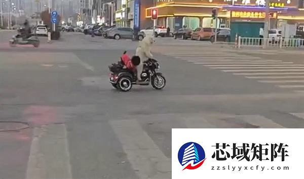 宠物狗骑电动车带另一只狗上街引争议 当地交警回应